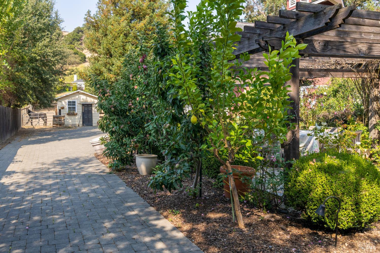 Detail Gallery Image 29 of 47 For 1846 Indian Valley Rd, Novato,  CA 94947 - 3 Beds | 2 Baths