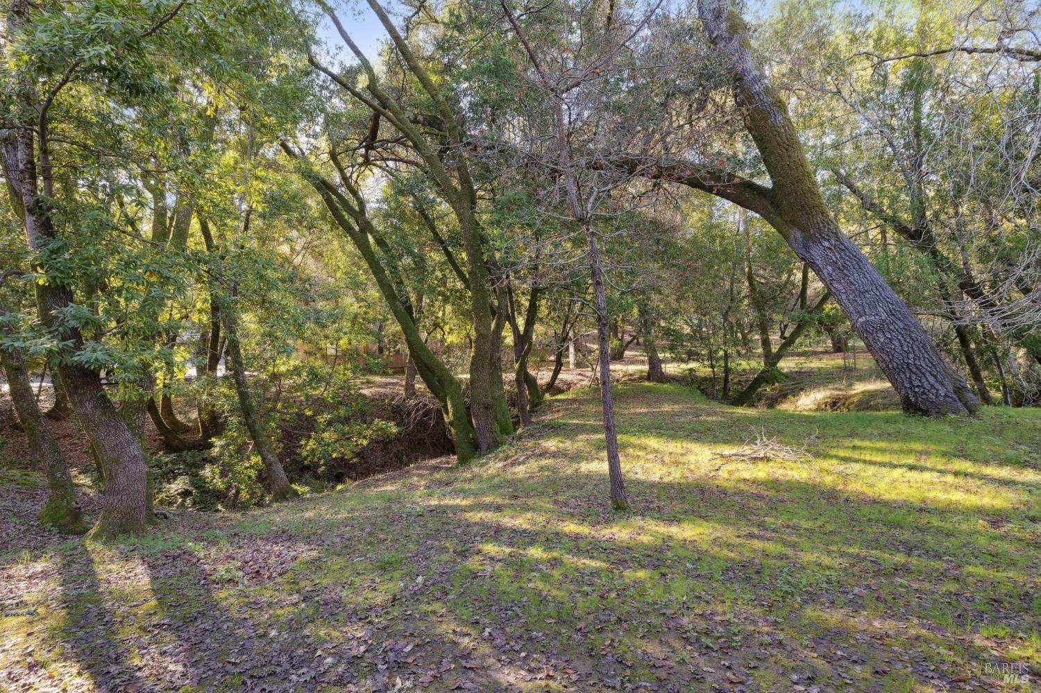 Detail Gallery Image 12 of 61 For 803 Indian Way, Novato,  CA 94949 - 3 Beds | 2 Baths