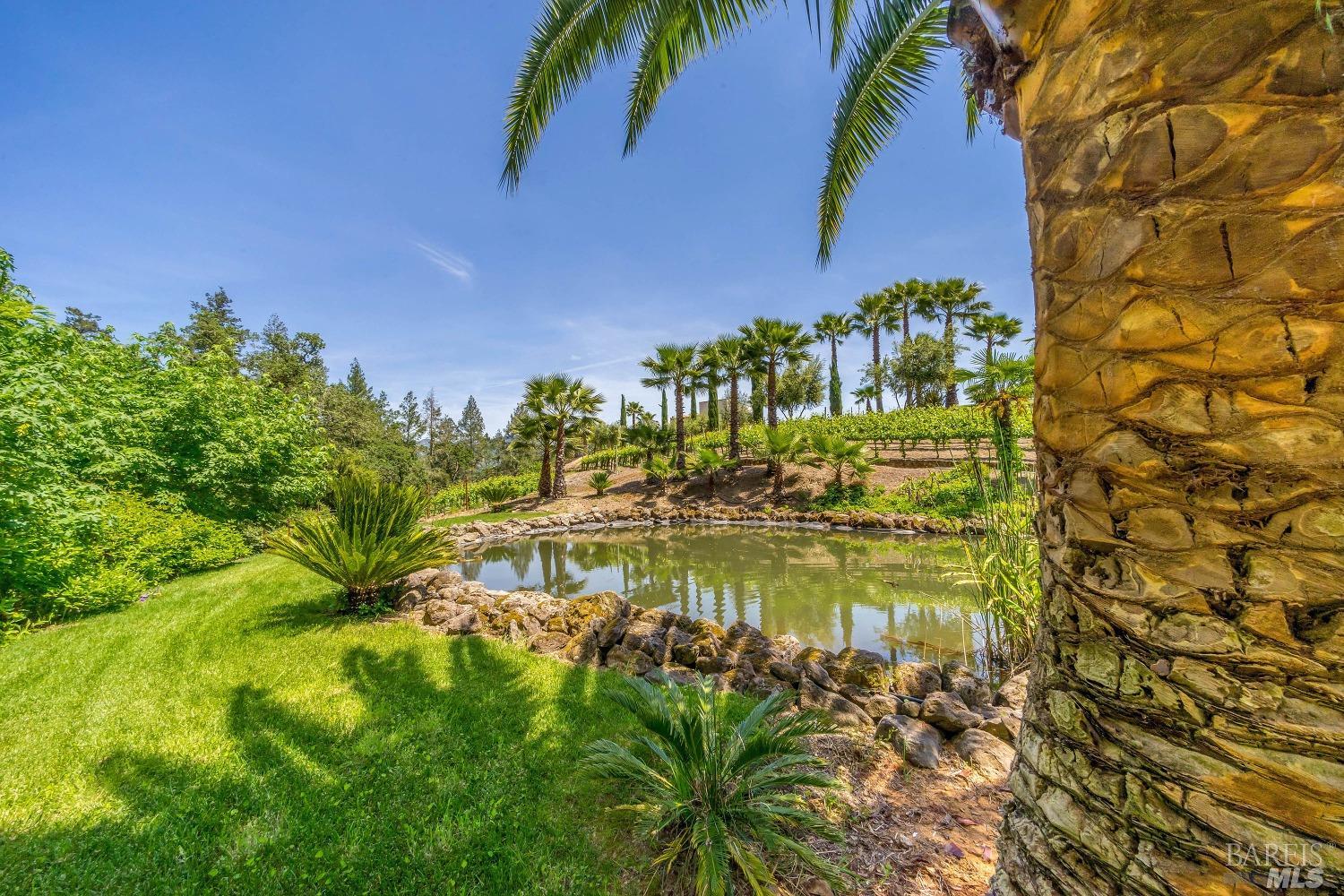 Detail Gallery Image 45 of 50 For 4447 N St. Helena Hwy, Calistoga,  CA 94515 - 3 Beds | 3/1 Baths