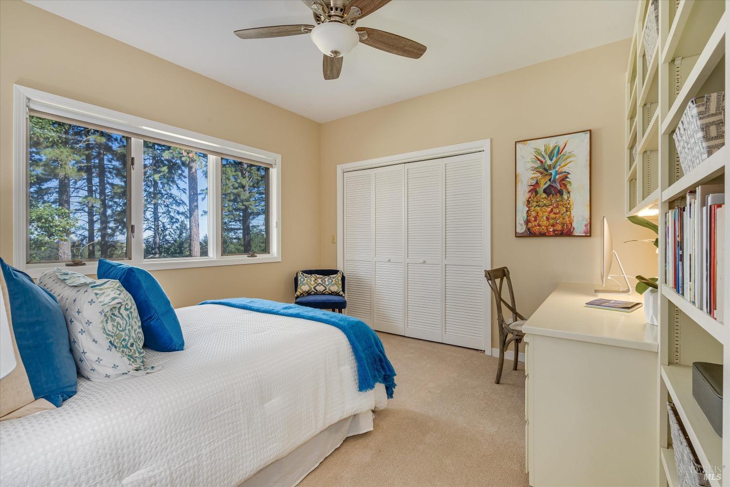 Detail Gallery Image 42 of 74 For 1155 Las Posadas Rd, Angwin,  CA 94508 - 7 Beds | 6 Baths