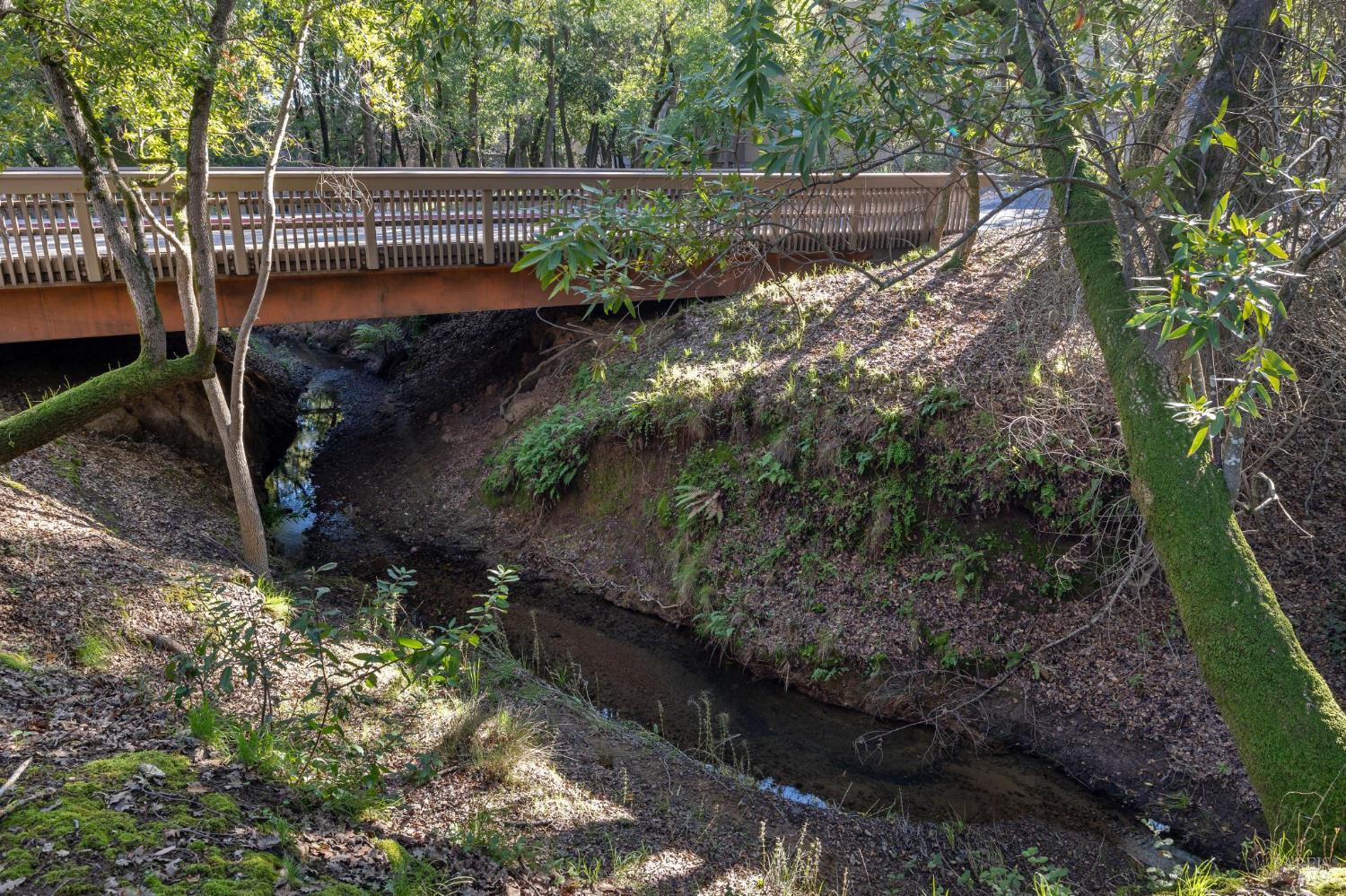 Detail Gallery Image 13 of 61 For 803 Indian Way, Novato,  CA 94949 - 3 Beds | 2 Baths
