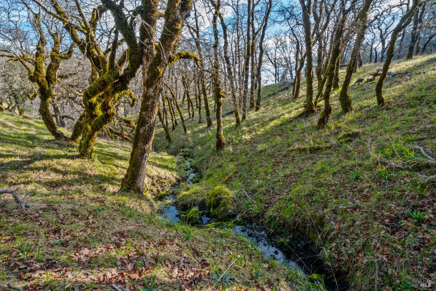 Detail Gallery Image 13 of 29 For 5400 Orr Springs Rd, Ukiah,  CA 95482 - – Beds | – Baths