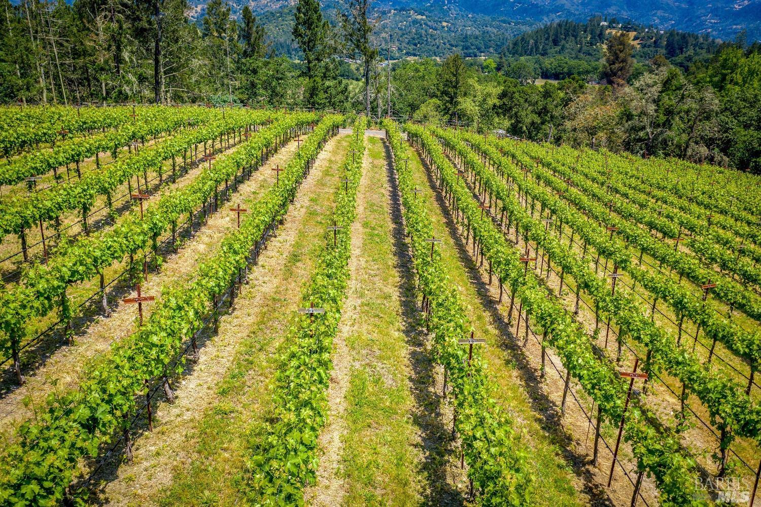 Detail Gallery Image 48 of 50 For 4447 N St. Helena Hwy, Calistoga,  CA 94515 - 3 Beds | 3/1 Baths