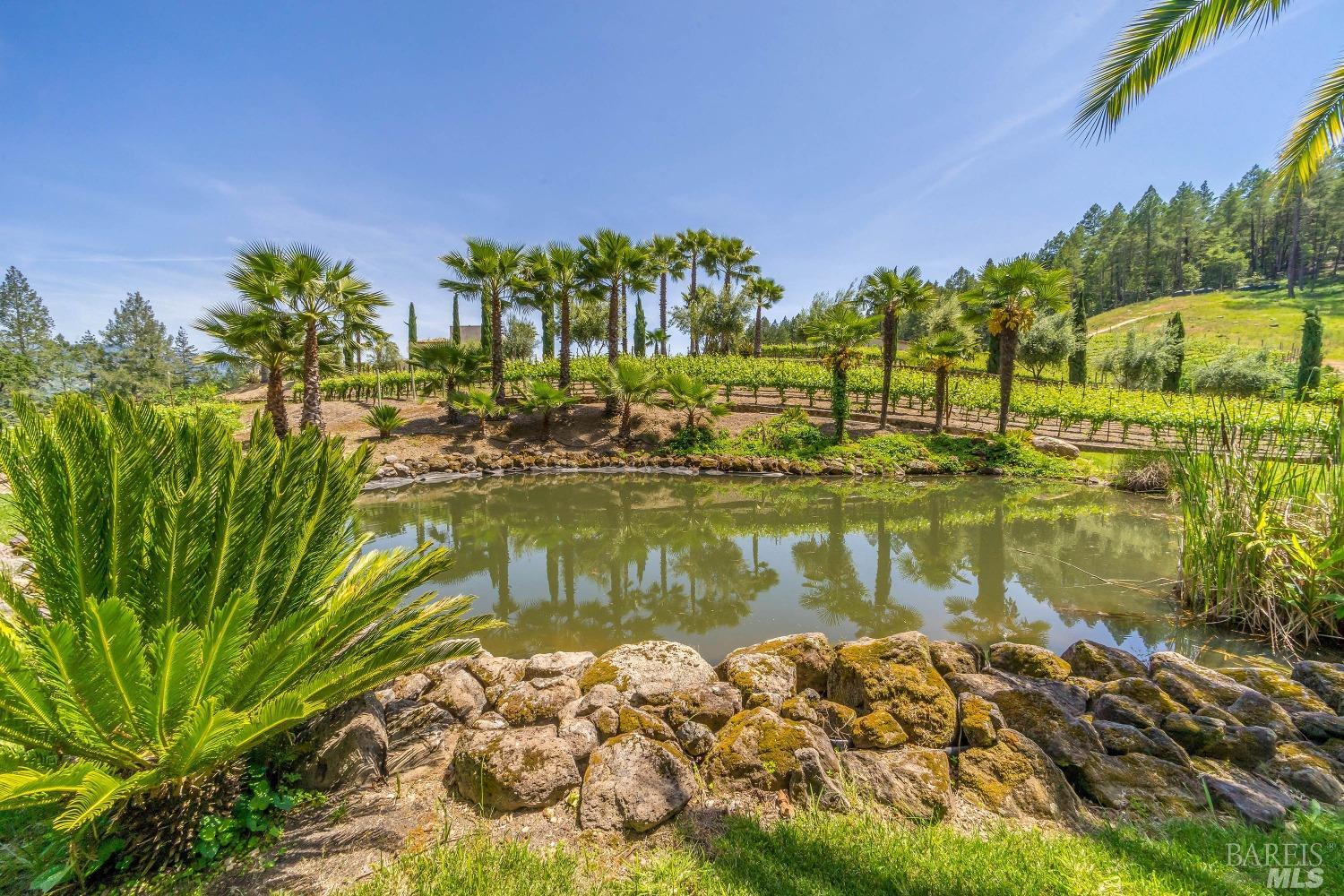 Detail Gallery Image 39 of 50 For 4447 N St. Helena Hwy, Calistoga,  CA 94515 - 3 Beds | 3/1 Baths