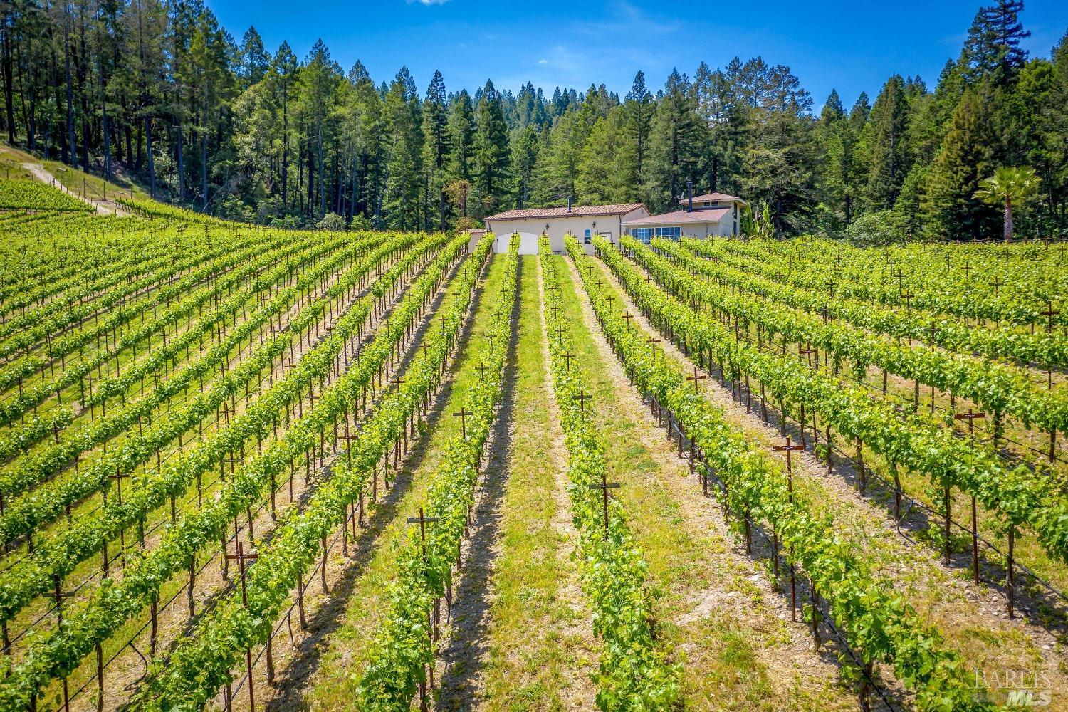 Detail Gallery Image 42 of 50 For 4447 N St. Helena Hwy, Calistoga,  CA 94515 - 3 Beds | 3/1 Baths