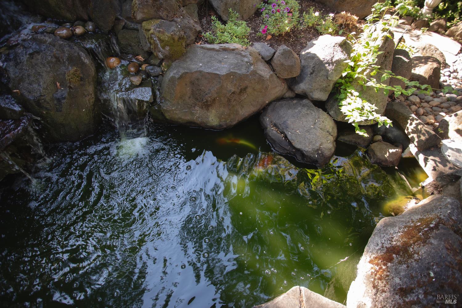 Detail Gallery Image 60 of 75 For 4604 Parktrail Ct, Santa Rosa,  CA 95405 - 4 Beds | 3 Baths