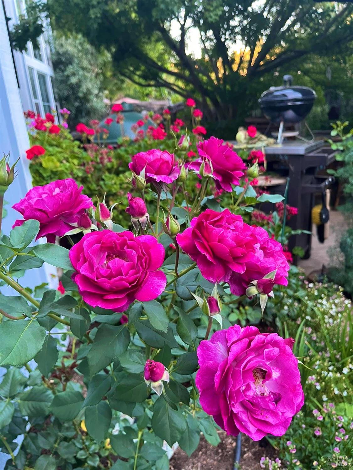 Detail Gallery Image 73 of 75 For 4604 Parktrail Ct, Santa Rosa,  CA 95405 - 4 Beds | 3 Baths