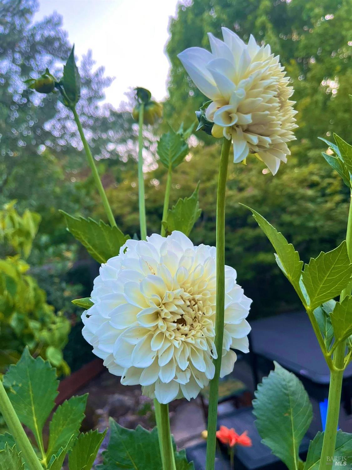 Detail Gallery Image 74 of 75 For 4604 Parktrail Ct, Santa Rosa,  CA 95405 - 4 Beds | 3 Baths