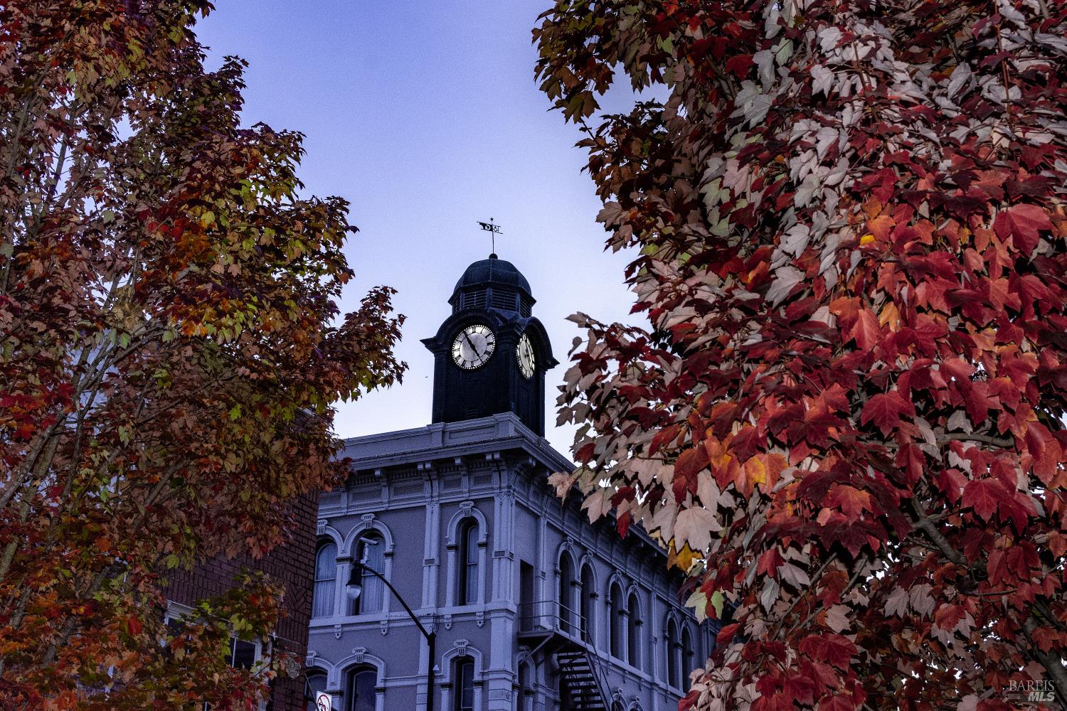 Detail Gallery Image 52 of 61 For 1636 Sarkesian Dr, Petaluma,  CA 94954 - 4 Beds | 3 Baths