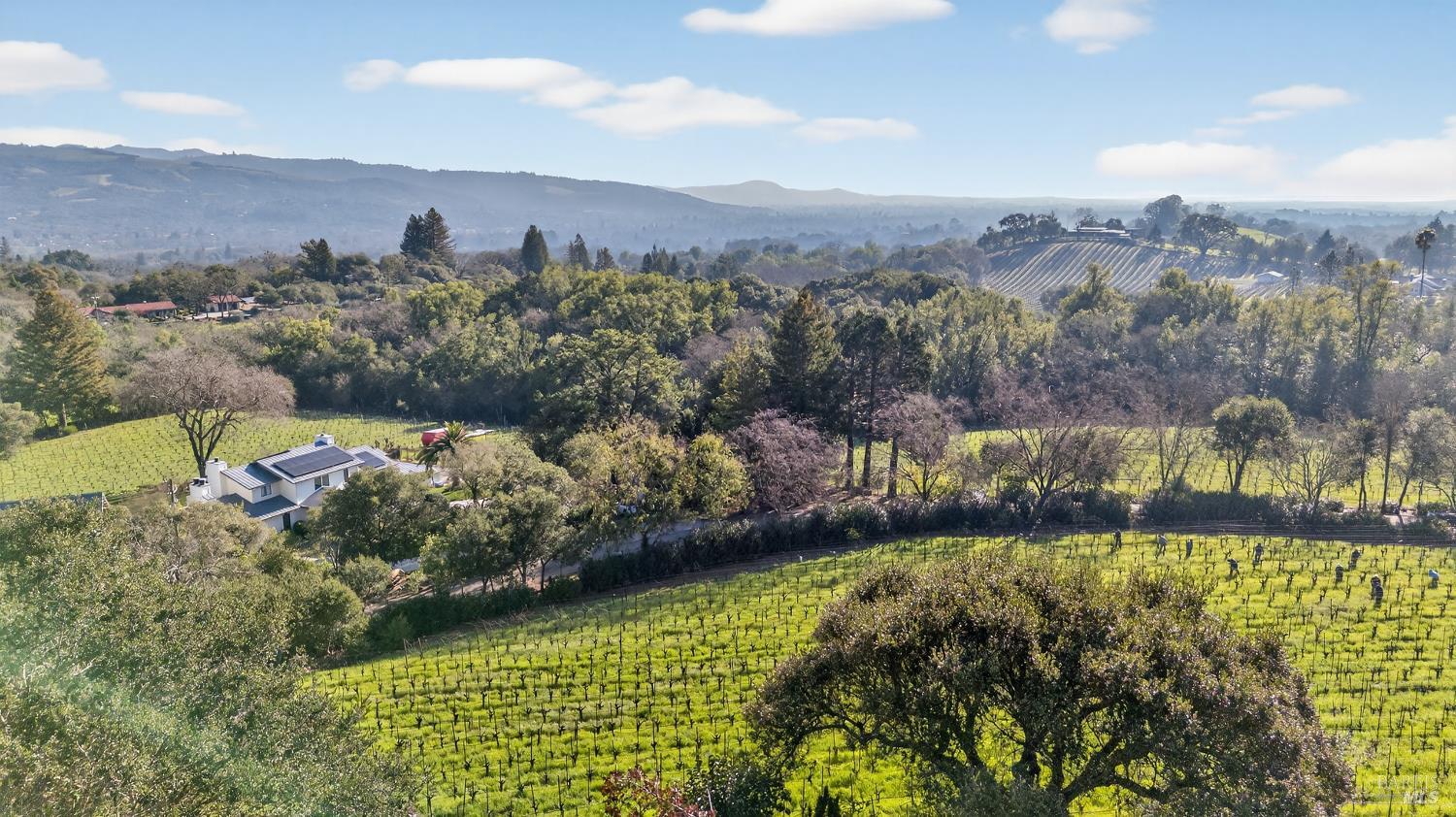 Detail Gallery Image 38 of 68 For 2299 Sobre Vista Rd, Sonoma,  CA 95476 - 3 Beds | 2/1 Baths