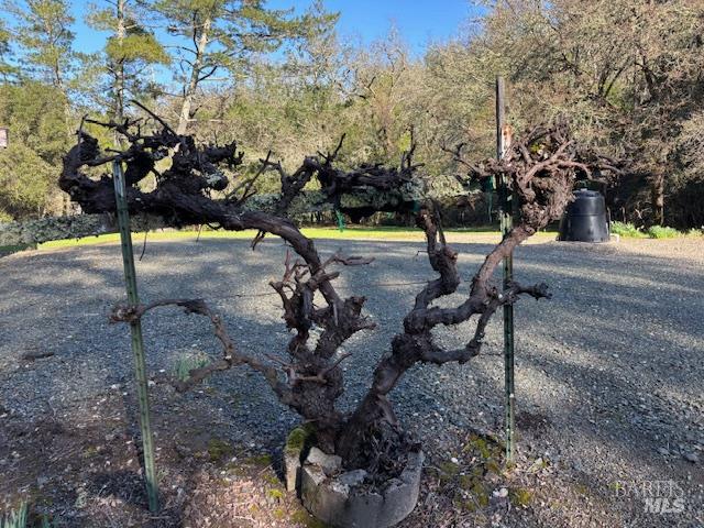 Detail Gallery Image 28 of 32 For 3680 Calistoga Rd, Santa Rosa,  CA 95404 - 2 Beds | 2 Baths