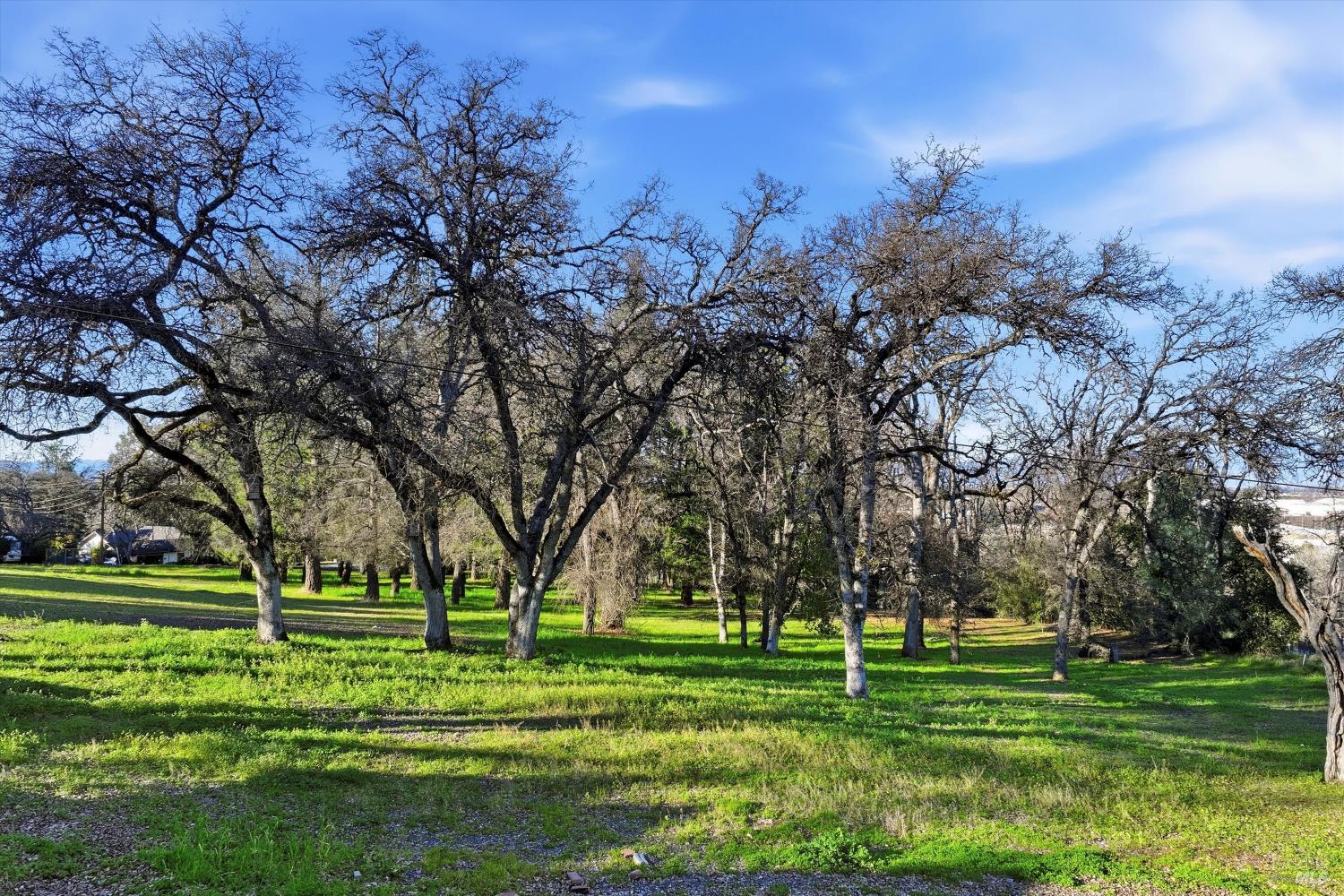 Detail Gallery Image 11 of 12 For 5300 Mckee Rd, Kelseyville,  CA 95451 - – Beds | – Baths