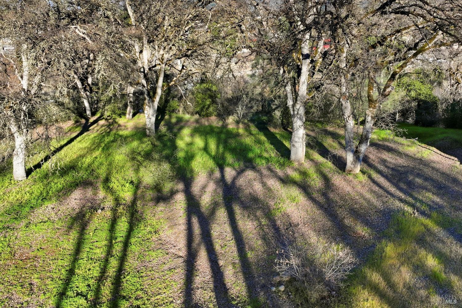 Detail Gallery Image 4 of 12 For 5300 Mckee Rd, Kelseyville,  CA 95451 - – Beds | – Baths