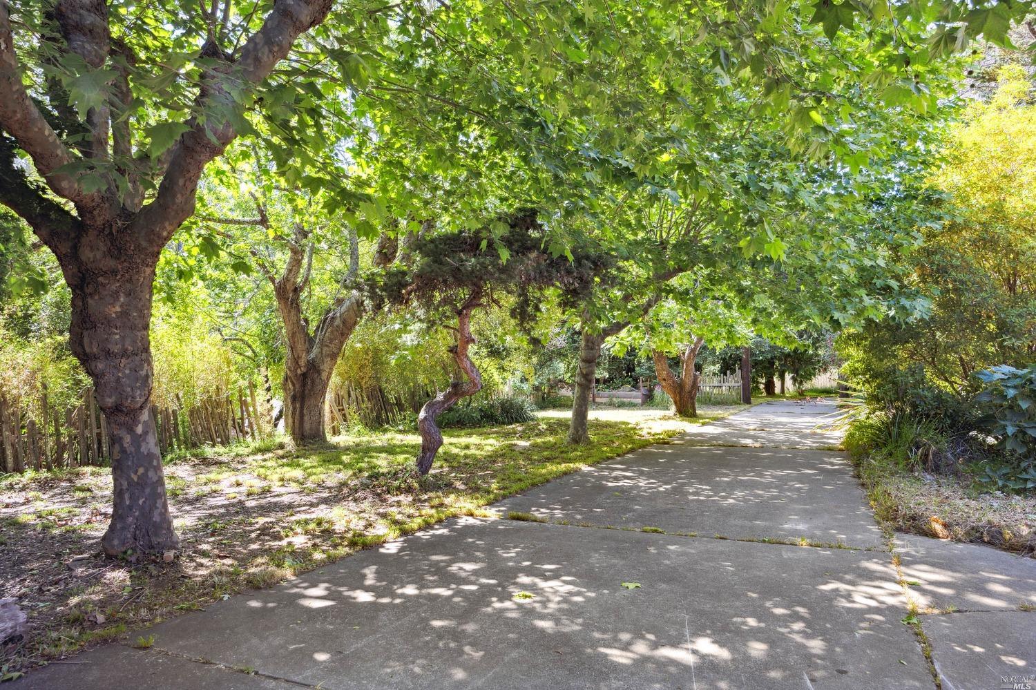 Detail Gallery Image 3 of 33 For 5953 Shoreline Hwy, Bolinas,  CA 94924 - 3 Beds | 1/1 Baths