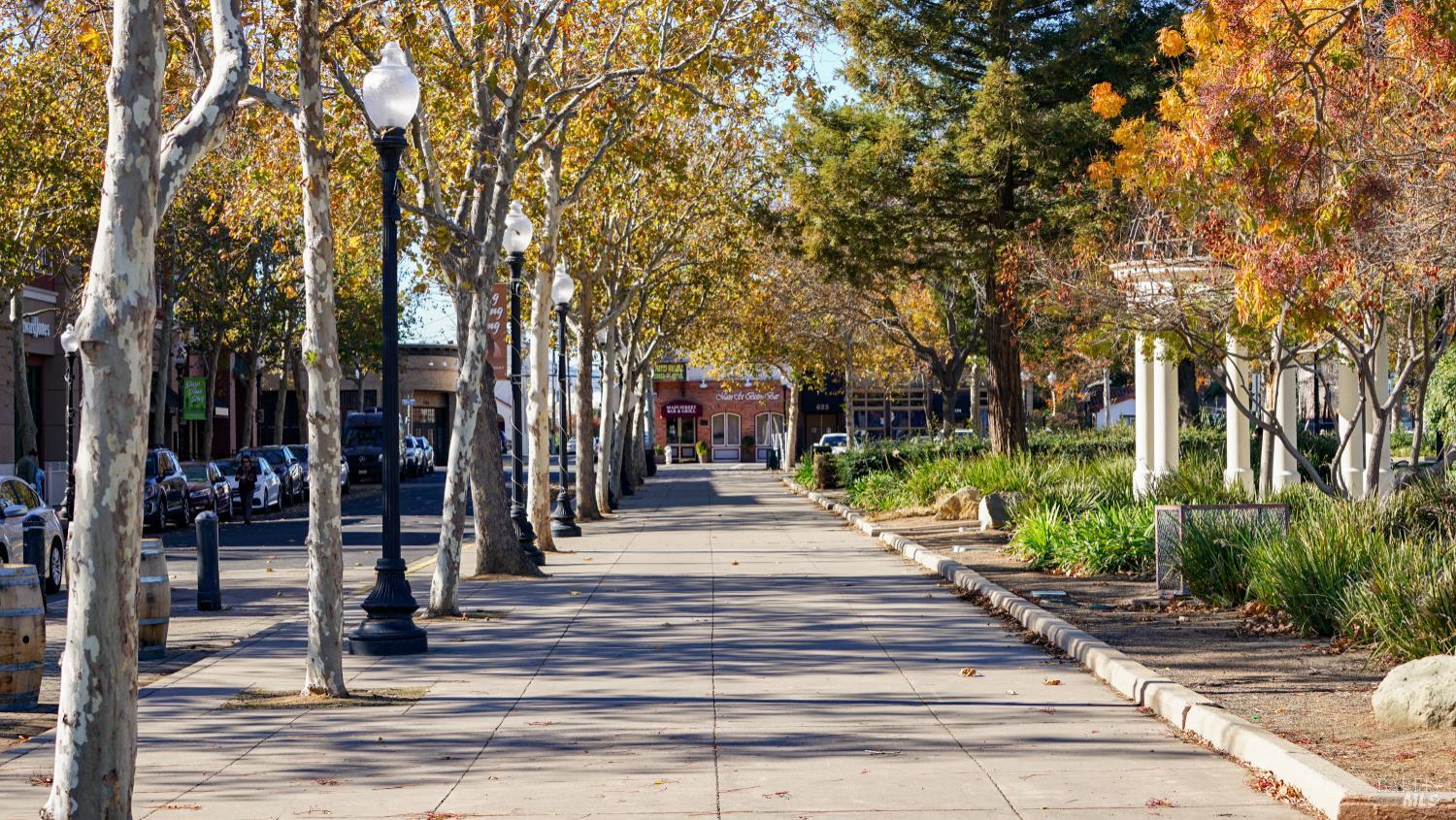 Detail Gallery Image 63 of 64 For 750 Harbor Park Dr, Suisun City,  CA 94585 - 3 Beds | 2/1 Baths