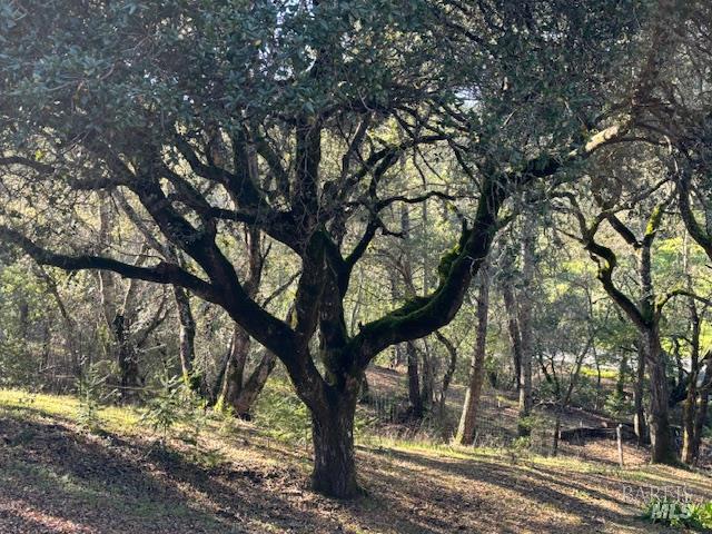 Detail Gallery Image 32 of 32 For 3680 Calistoga Rd, Santa Rosa,  CA 95404 - 2 Beds | 2 Baths