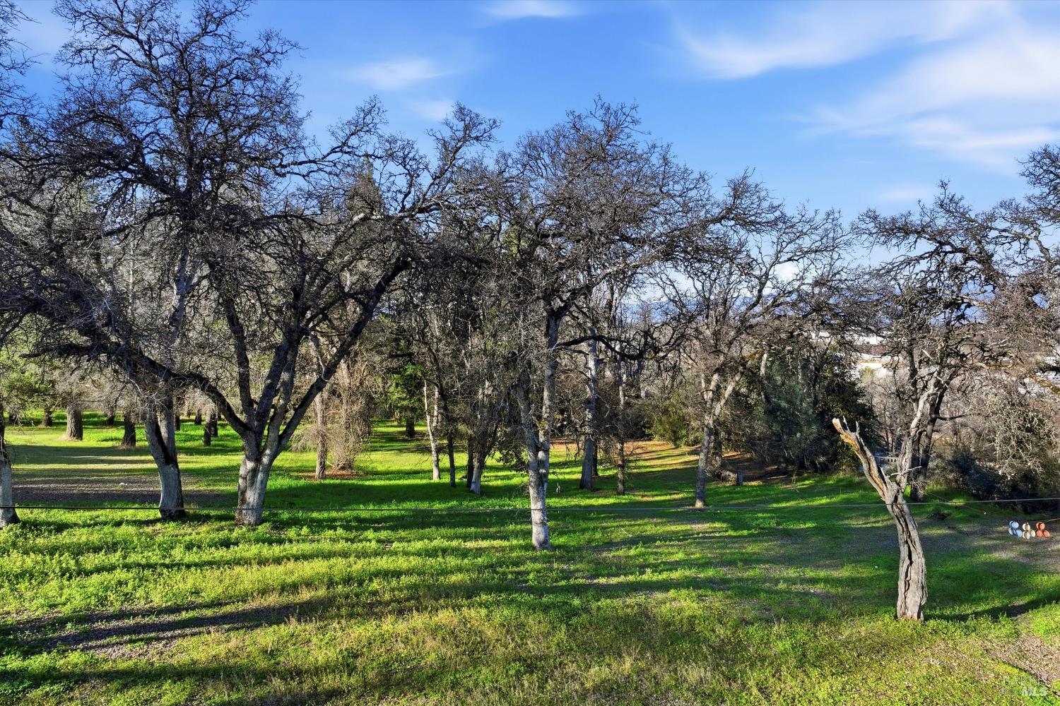 Detail Gallery Image 12 of 12 For 5300 Mckee Rd, Kelseyville,  CA 95451 - – Beds | – Baths