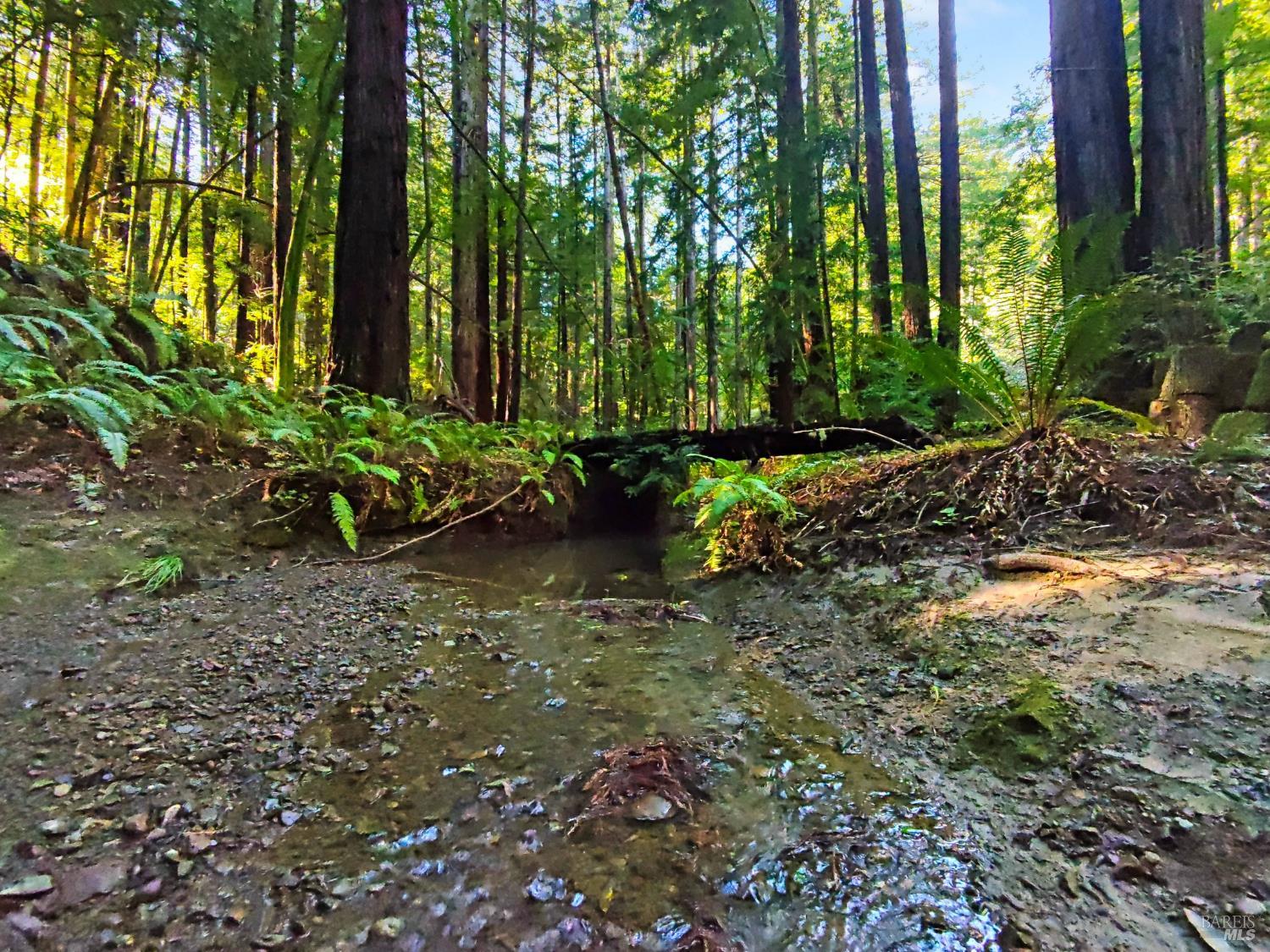 Detail Gallery Image 9 of 31 For 16125 Bittner Rd, Occidental,  CA 95465 - 4 Beds | 2 Baths