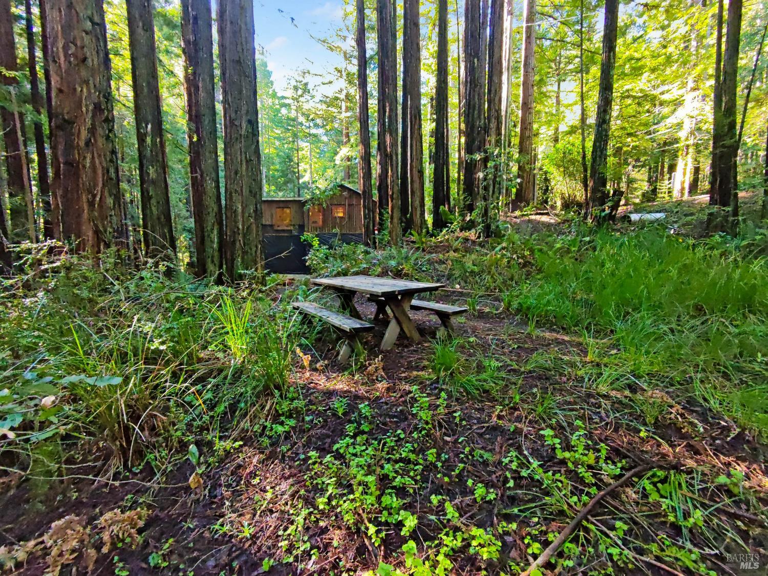 Detail Gallery Image 13 of 31 For 16125 Bittner Rd, Occidental,  CA 95465 - 4 Beds | 2 Baths