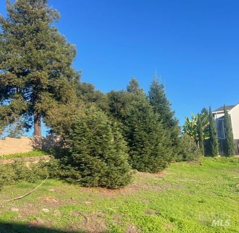 Detail Gallery Image 21 of 29 For 2005 Bracken Ct, Santa Rosa,  CA 95403 - – Beds | – Baths