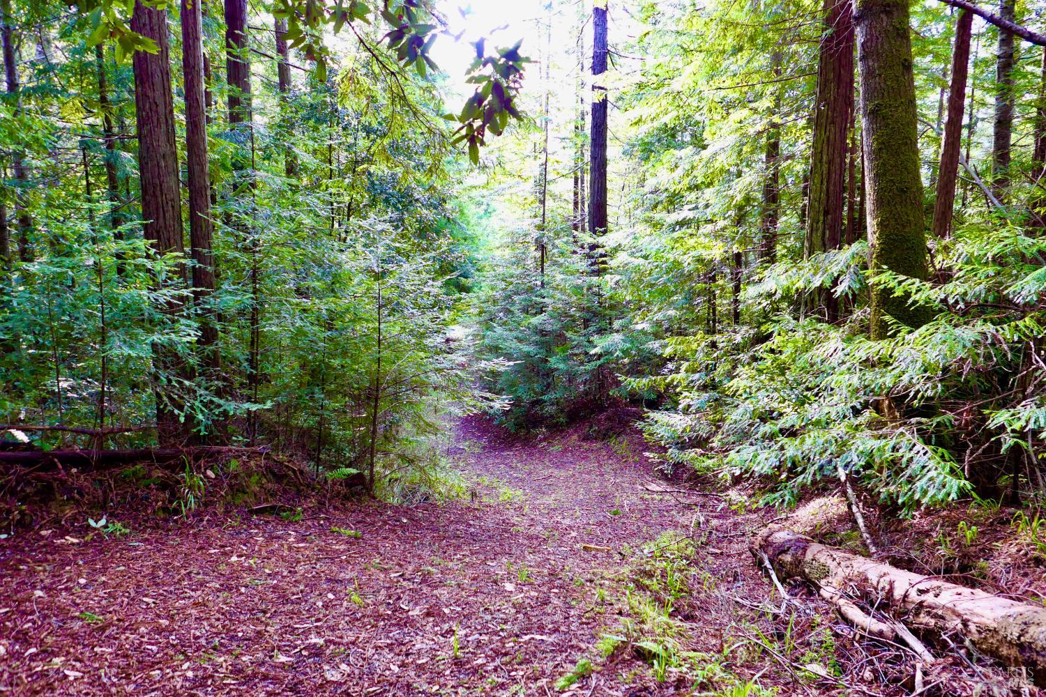 Detail Gallery Image 42 of 47 For 40401 Little River Airport Rd, Little River_1,  CA 95456 - 3 Beds | 2 Baths