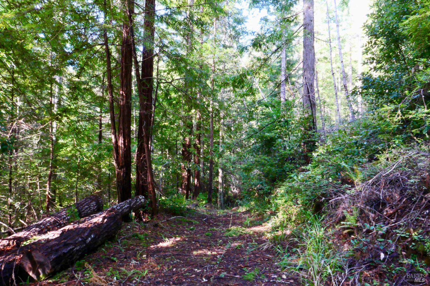 Detail Gallery Image 41 of 47 For 40401 Little River Airport Rd, Little River_1,  CA 95456 - 3 Beds | 2 Baths