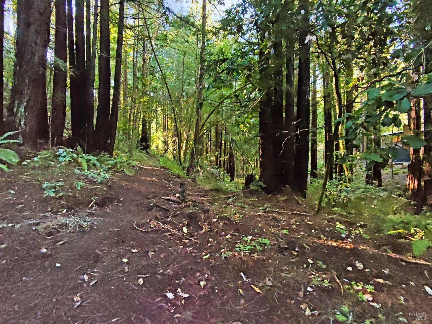 Detail Gallery Image 7 of 31 For 16125 Bittner Rd, Occidental,  CA 95465 - 4 Beds | 2 Baths