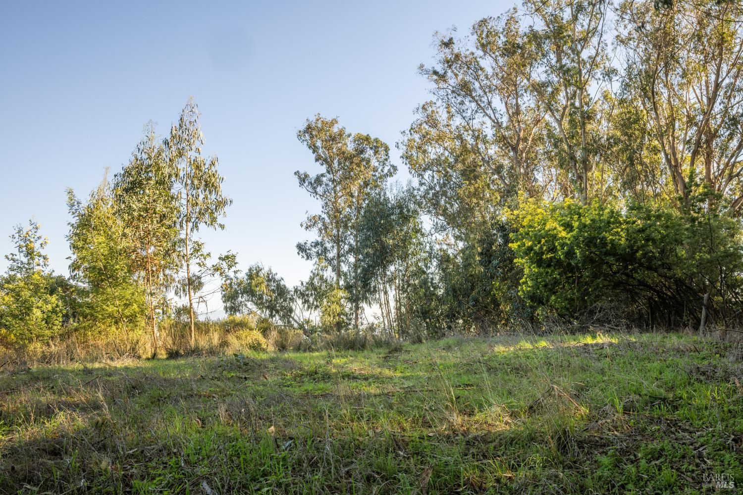 Detail Gallery Image 2 of 20 For 2800 Paradise Dr, Tiburon,  CA 94920 - – Beds | – Baths