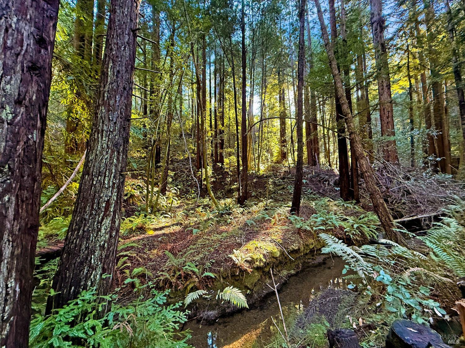 Detail Gallery Image 29 of 31 For 16125 Bittner Rd, Occidental,  CA 95465 - 4 Beds | 2 Baths