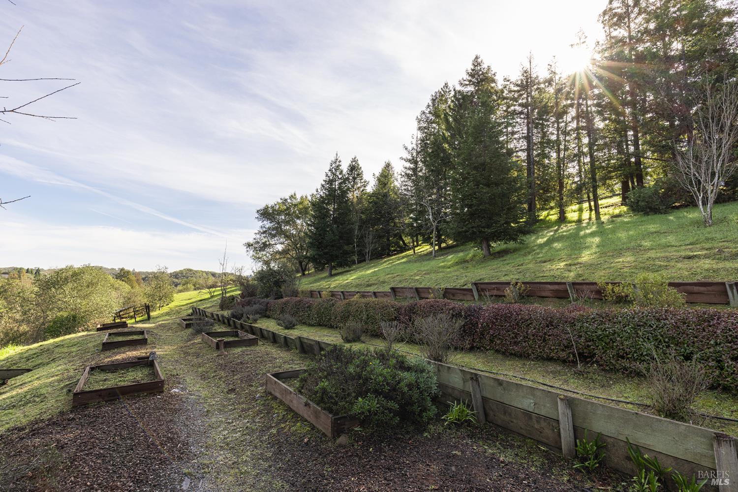 Detail Gallery Image 41 of 52 For 324 Burgundy Rd, Healdsburg,  CA 95448 - 3 Beds | 2/1 Baths