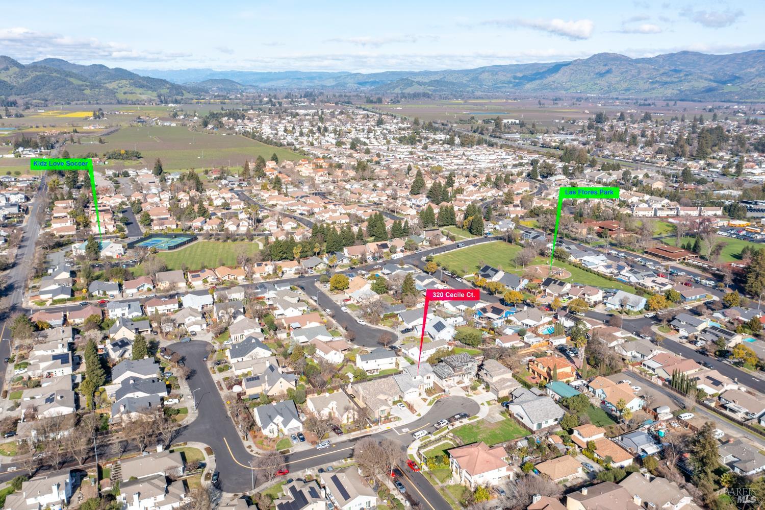 Detail Gallery Image 8 of 28 For 320 Cecile Ct, Napa,  CA 94558 - 3 Beds | 2/1 Baths