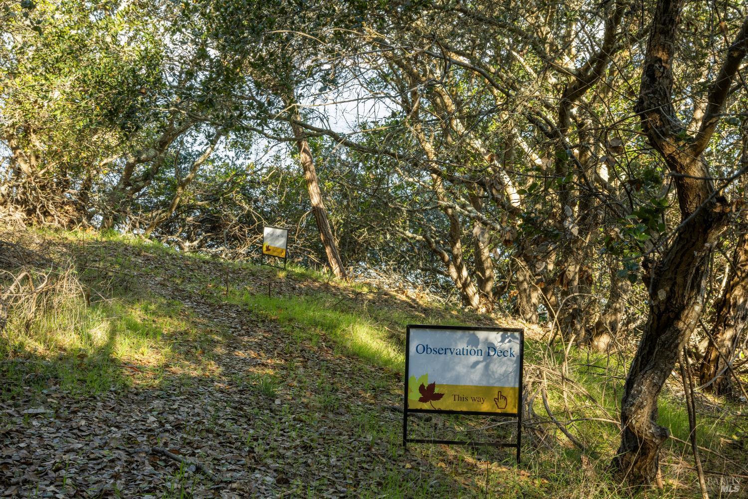 Detail Gallery Image 13 of 20 For 2800 Paradise Dr, Tiburon,  CA 94920 - – Beds | – Baths