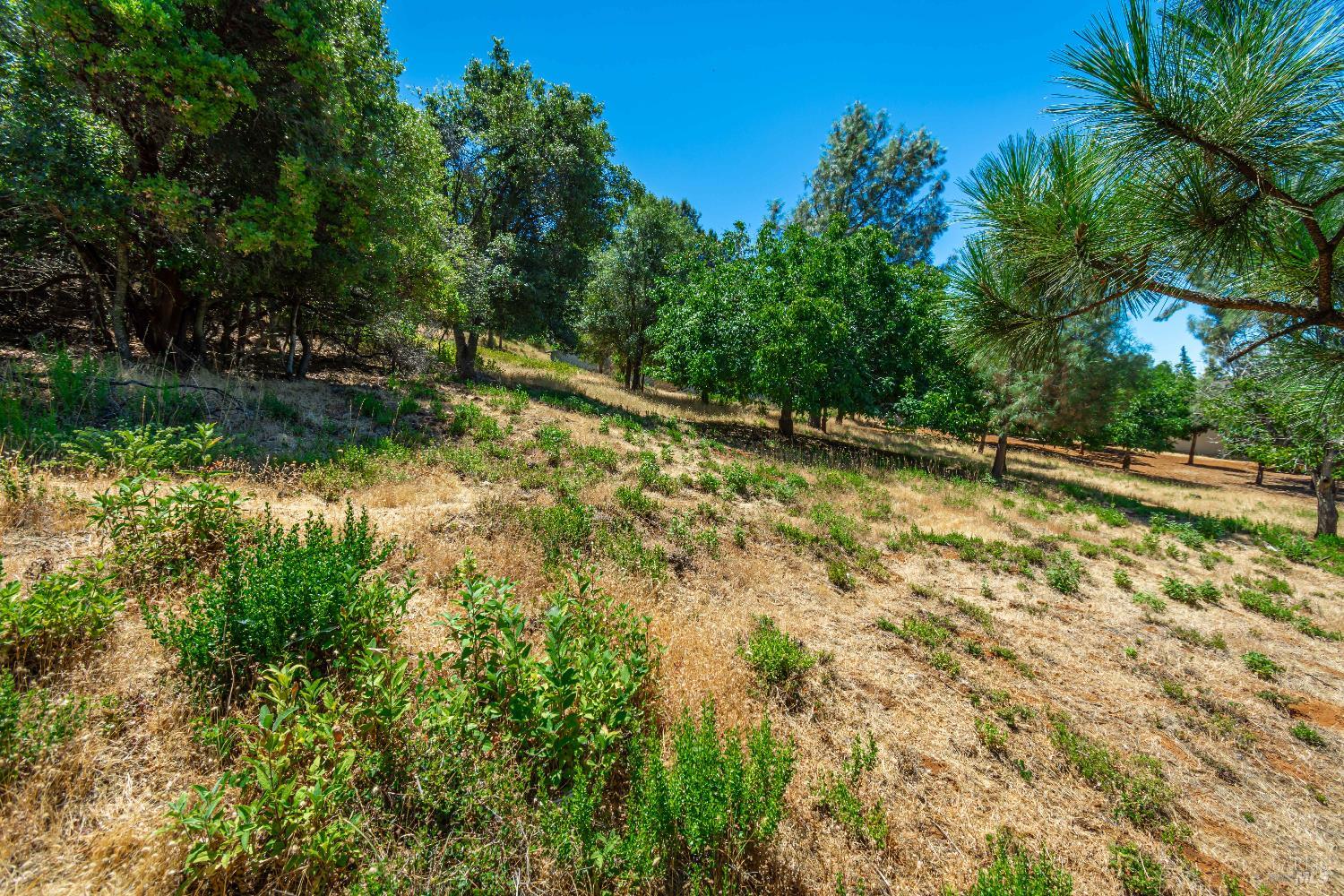 Detail Gallery Image 55 of 75 For 3126 Edgewood Dr, Kelseyville,  CA 95451 - – Beds | – Baths