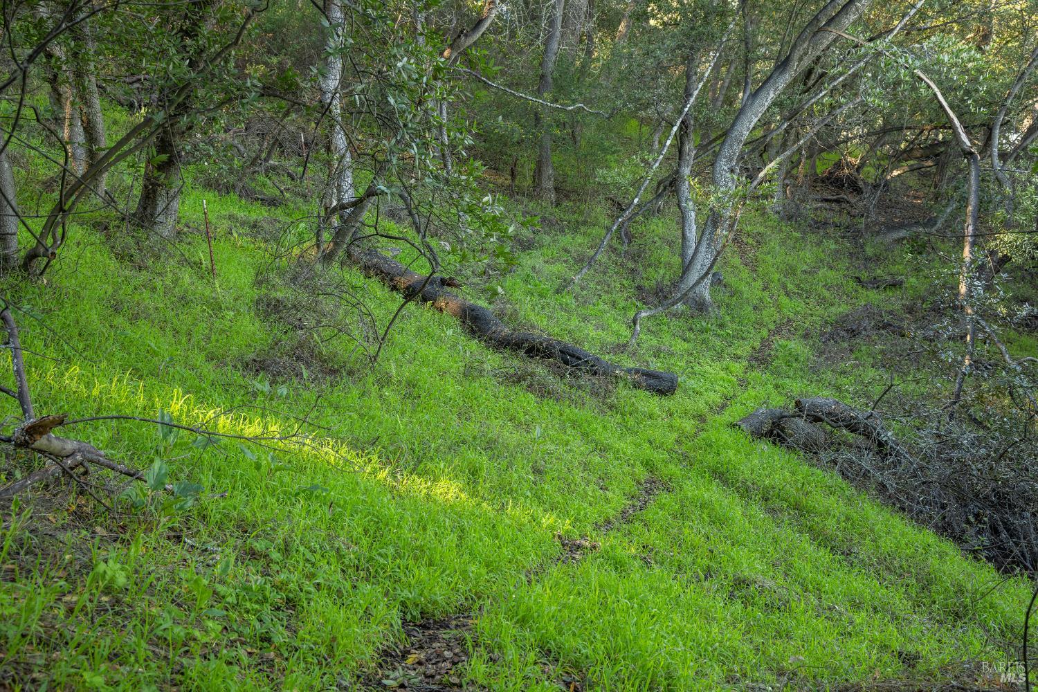 Detail Gallery Image 18 of 20 For 2800 Paradise Dr, Tiburon,  CA 94920 - – Beds | – Baths