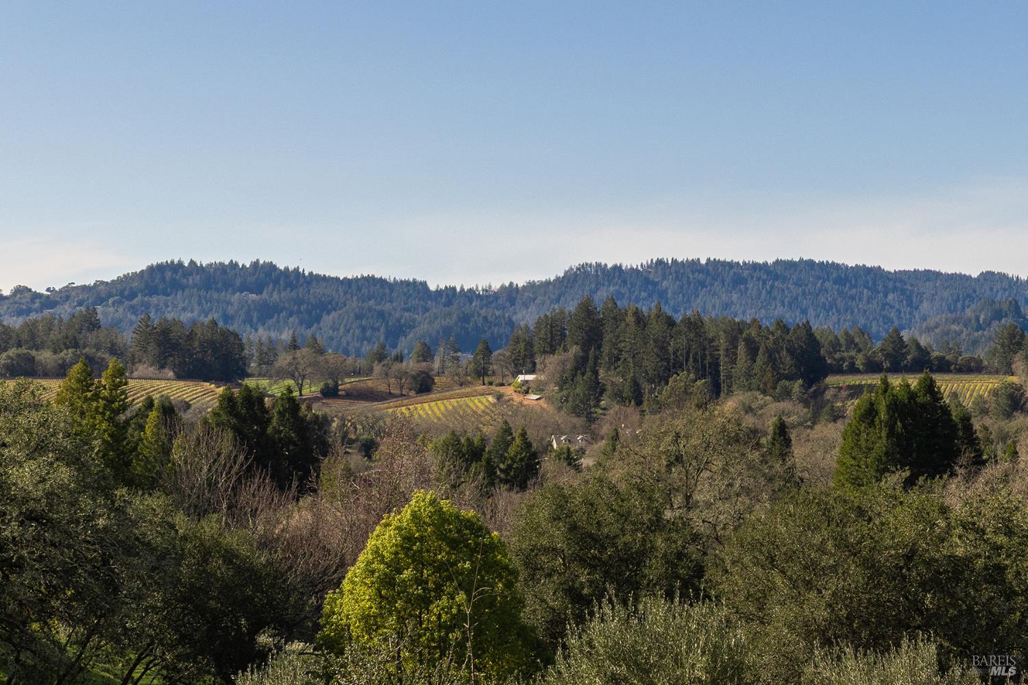 Detail Gallery Image 4 of 52 For 324 Burgundy Rd, Healdsburg,  CA 95448 - 3 Beds | 2/1 Baths