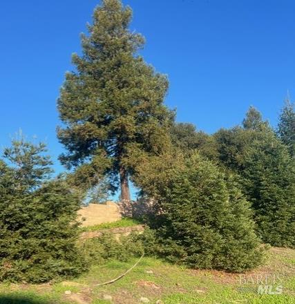 Detail Gallery Image 22 of 29 For 2005 Bracken Ct, Santa Rosa,  CA 95403 - – Beds | – Baths