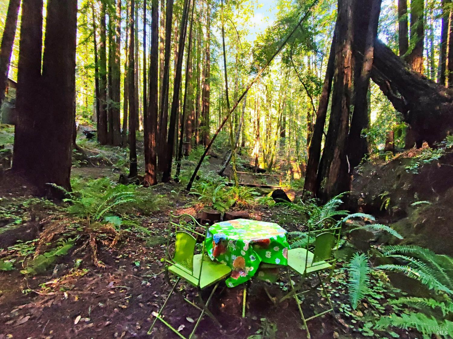 Detail Gallery Image 8 of 31 For 16125 Bittner Rd, Occidental,  CA 95465 - 4 Beds | 2 Baths