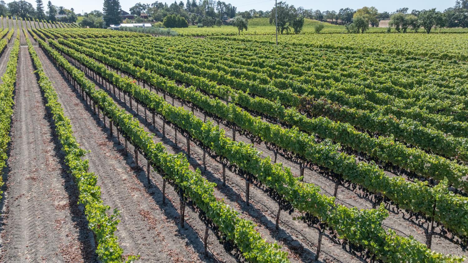 Detail Gallery Image 2 of 18 For 3000 River Rd, Windsor,  CA 95492 - – Beds | – Baths