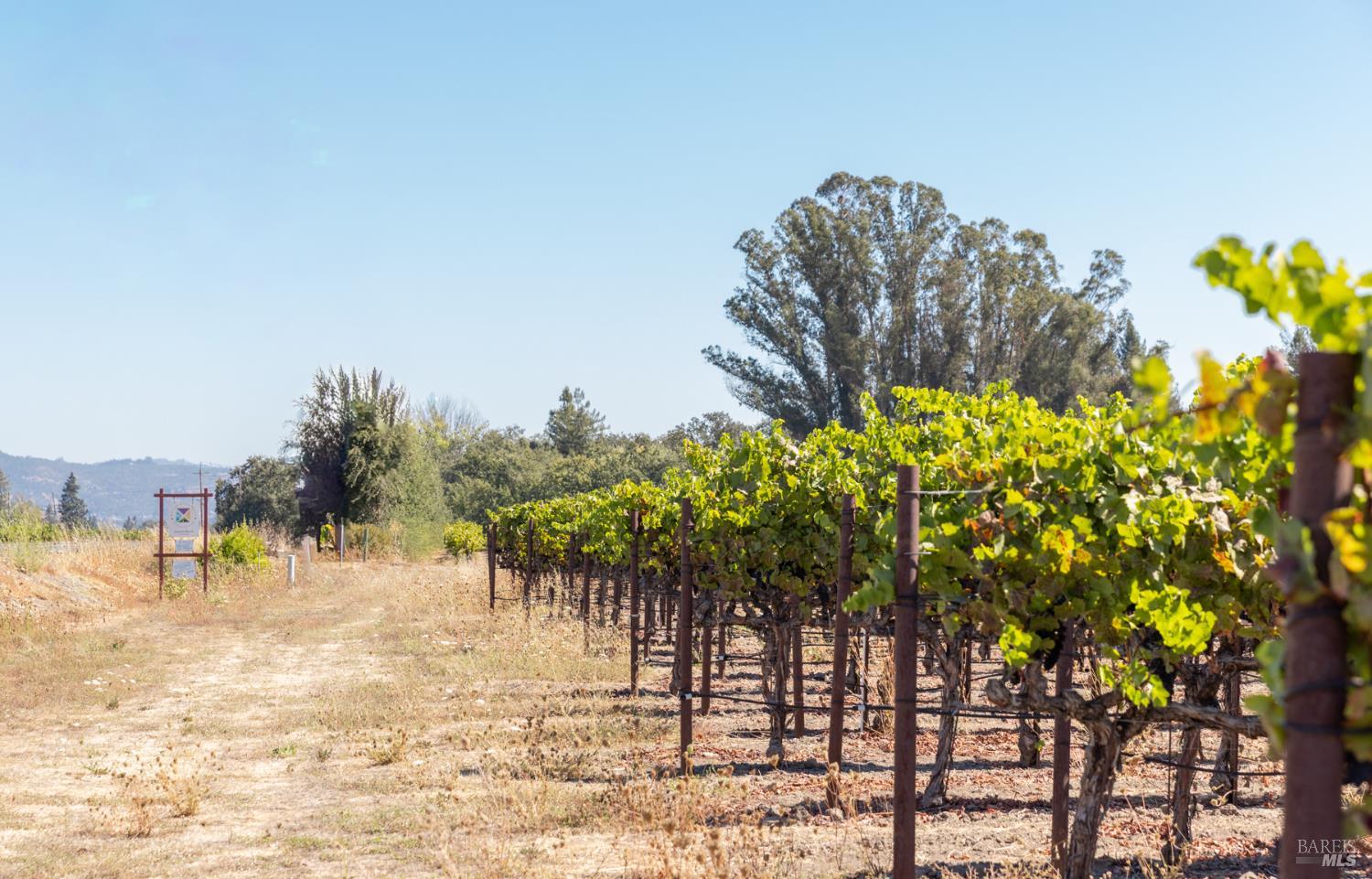 Detail Gallery Image 4 of 18 For 3000 River Rd, Windsor,  CA 95492 - – Beds | – Baths