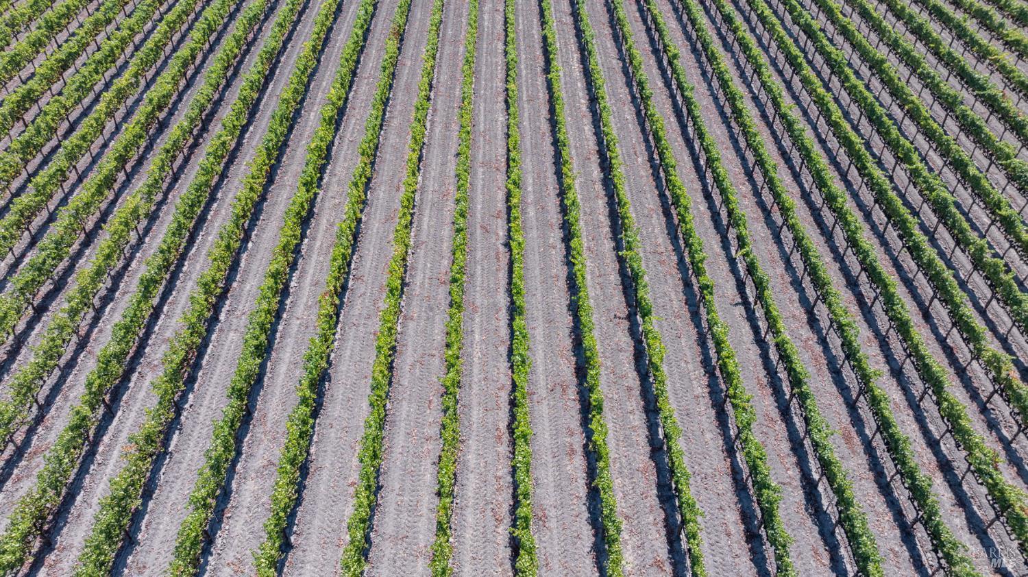 Detail Gallery Image 18 of 18 For 3000 River Rd, Windsor,  CA 95492 - – Beds | – Baths