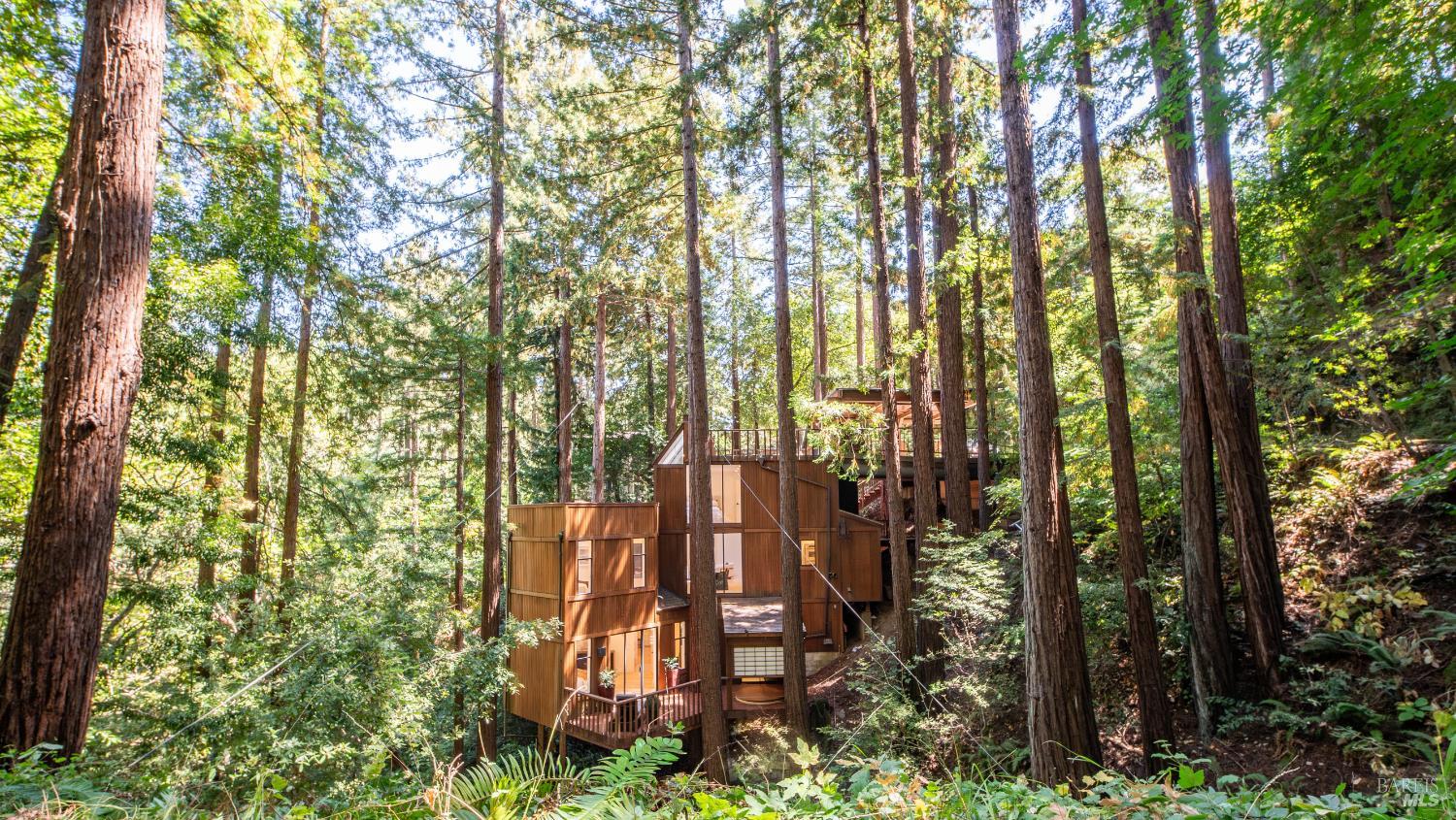 Detail Gallery Image 50 of 50 For 580 Ralston Ave, Mill Valley,  CA 94941 - 4 Beds | 3 Baths