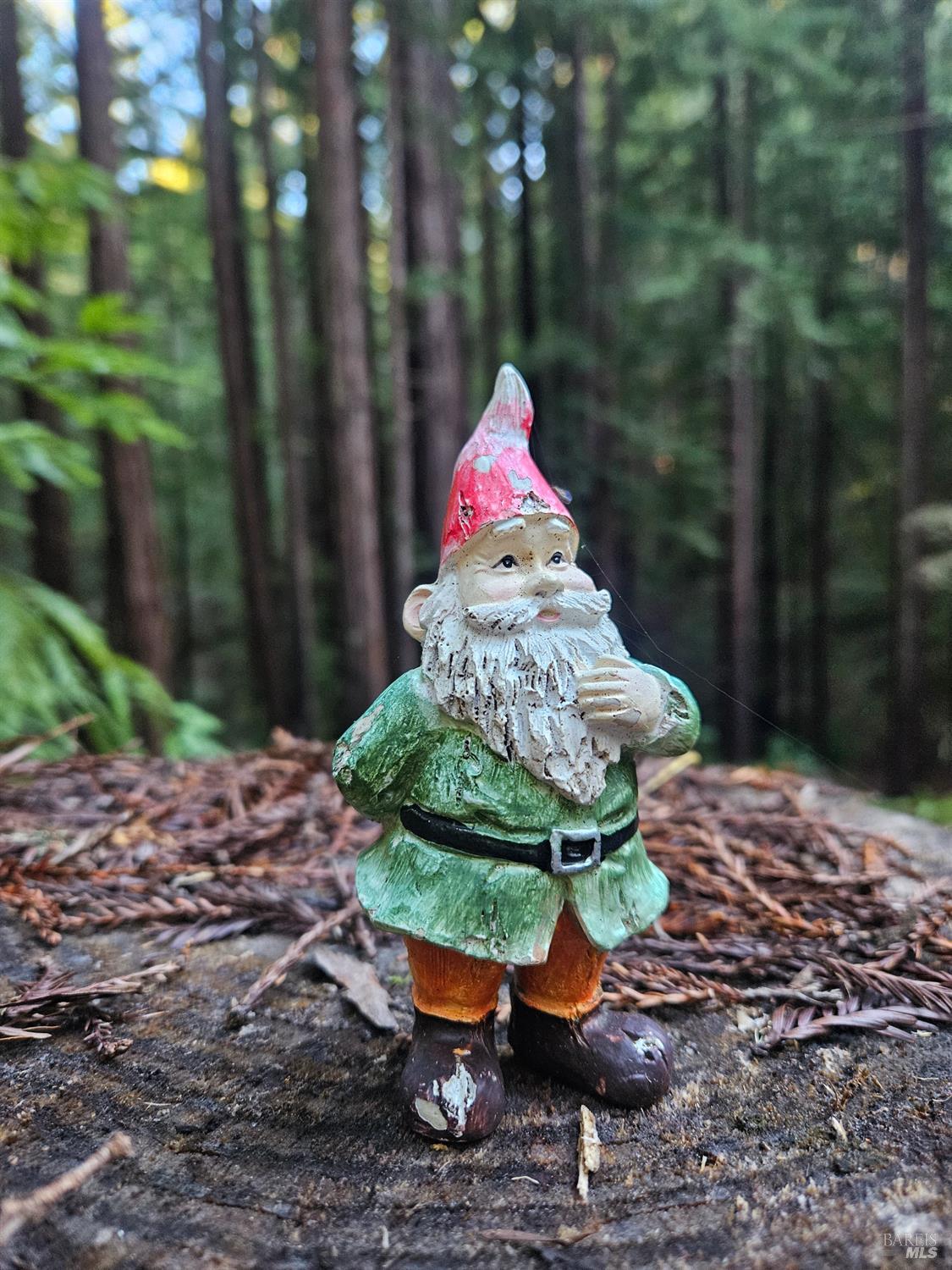 Detail Gallery Image 31 of 31 For 16125 Bittner Rd, Occidental,  CA 95465 - 4 Beds | 2 Baths