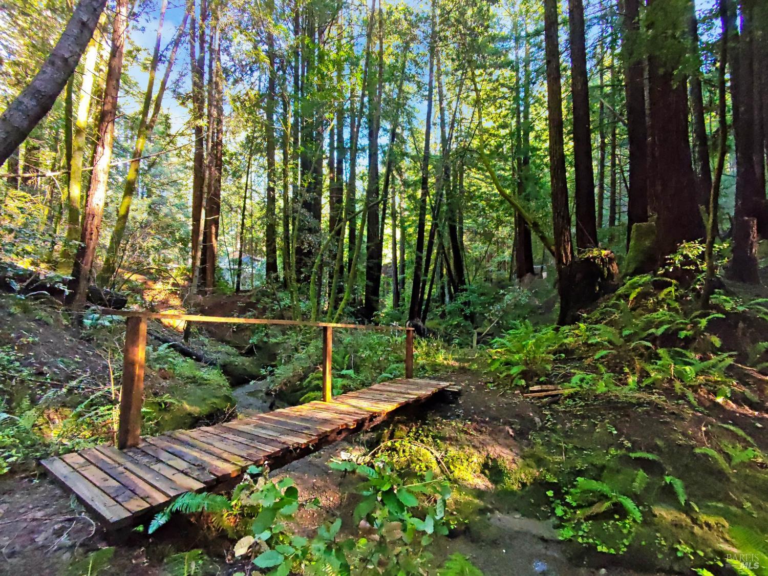 Detail Gallery Image 5 of 31 For 16125 Bittner Rd, Occidental,  CA 95465 - 4 Beds | 2 Baths