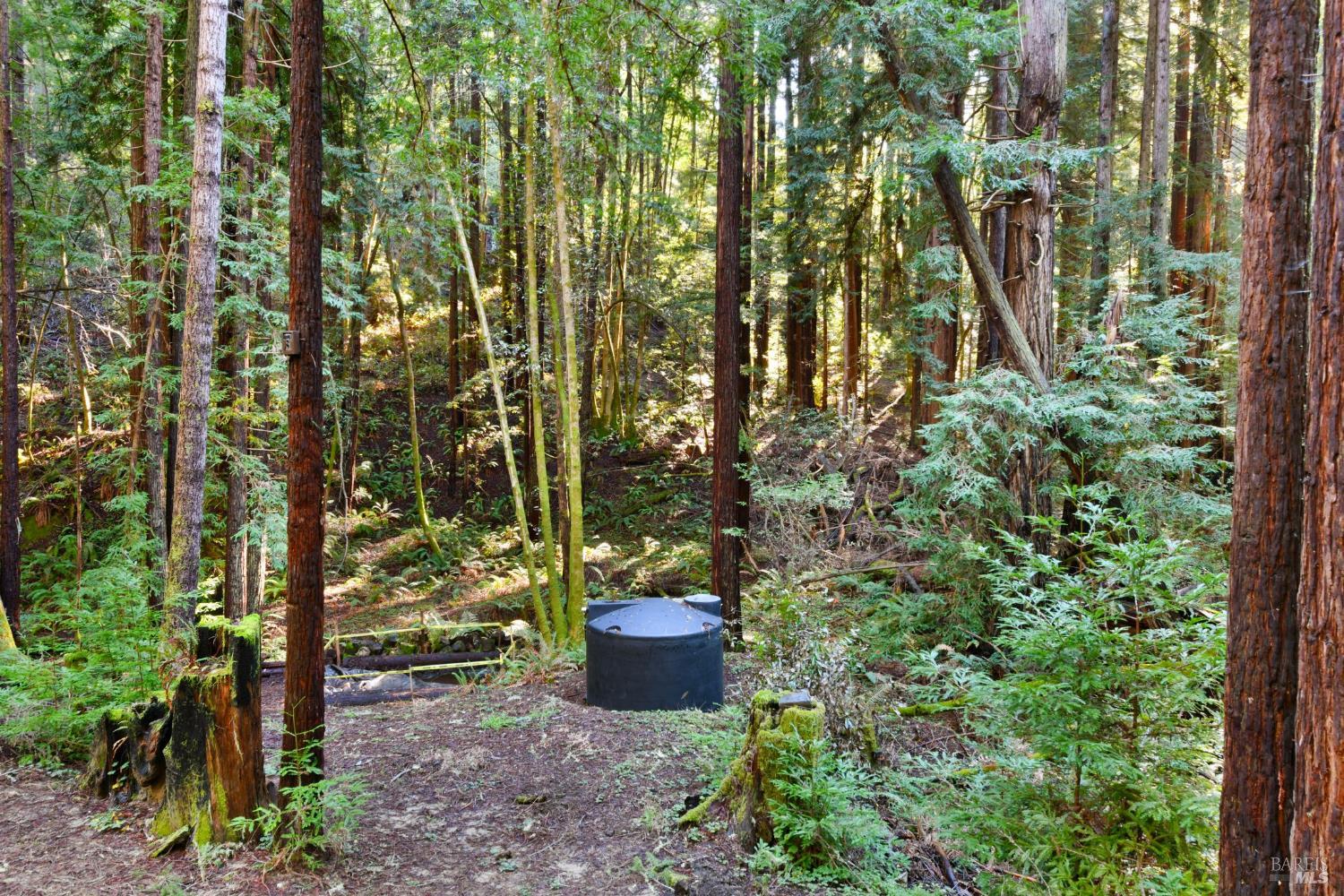 Detail Gallery Image 20 of 31 For 16125 Bittner Rd, Occidental,  CA 95465 - 4 Beds | 2 Baths