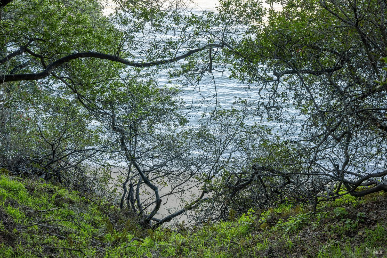 Detail Gallery Image 8 of 20 For 2800 Paradise Dr, Tiburon,  CA 94920 - – Beds | – Baths