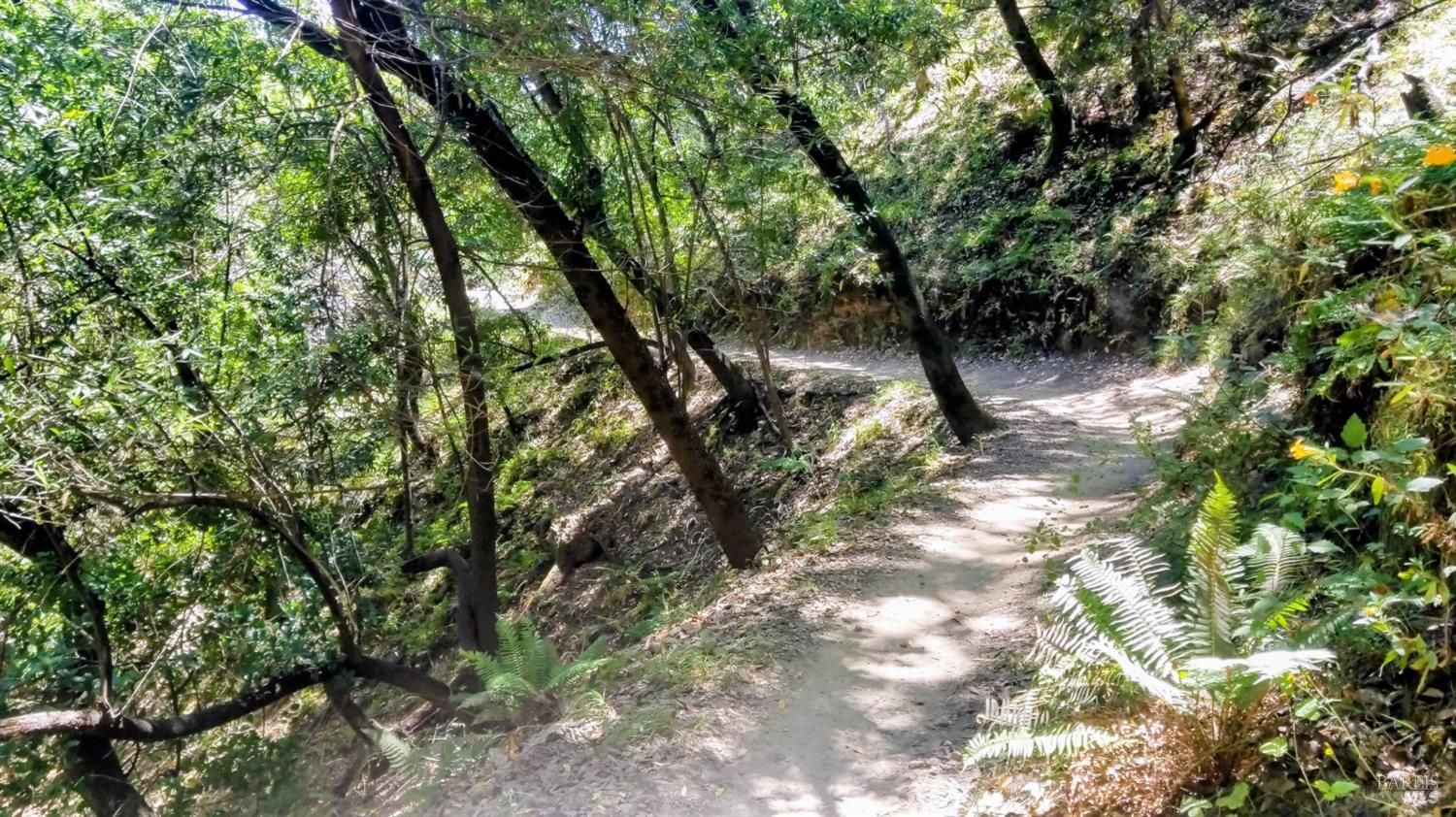 Detail Gallery Image 45 of 46 For 136 Peacock Dr, San Rafael,  CA 94901 - 4 Beds | 2 Baths