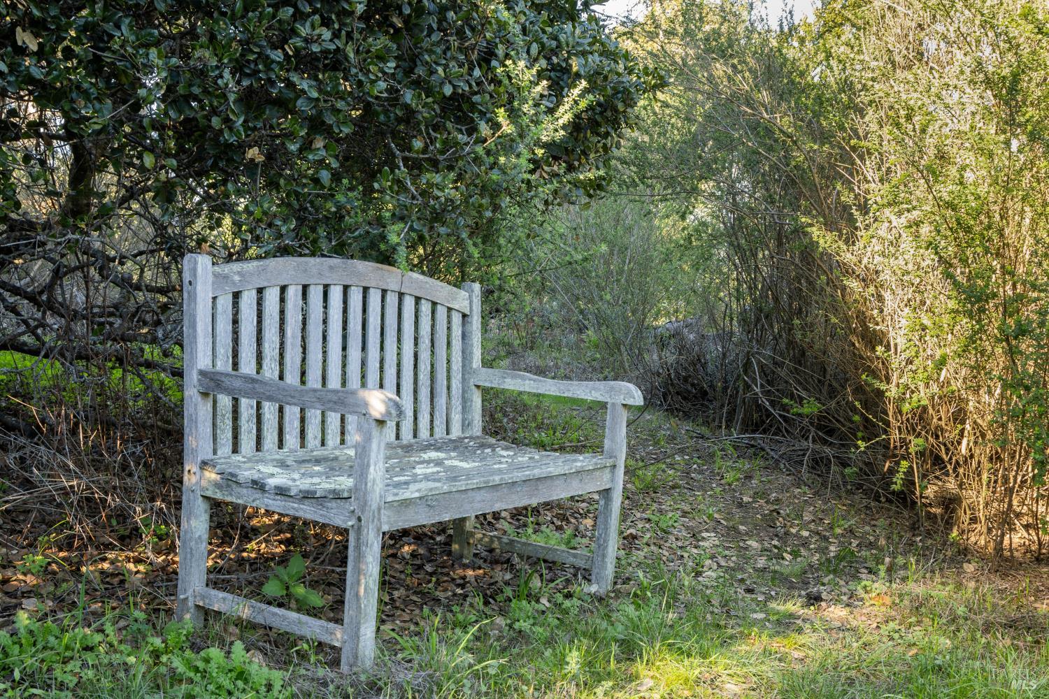 Detail Gallery Image 19 of 20 For 2800 Paradise Dr, Tiburon,  CA 94920 - – Beds | – Baths