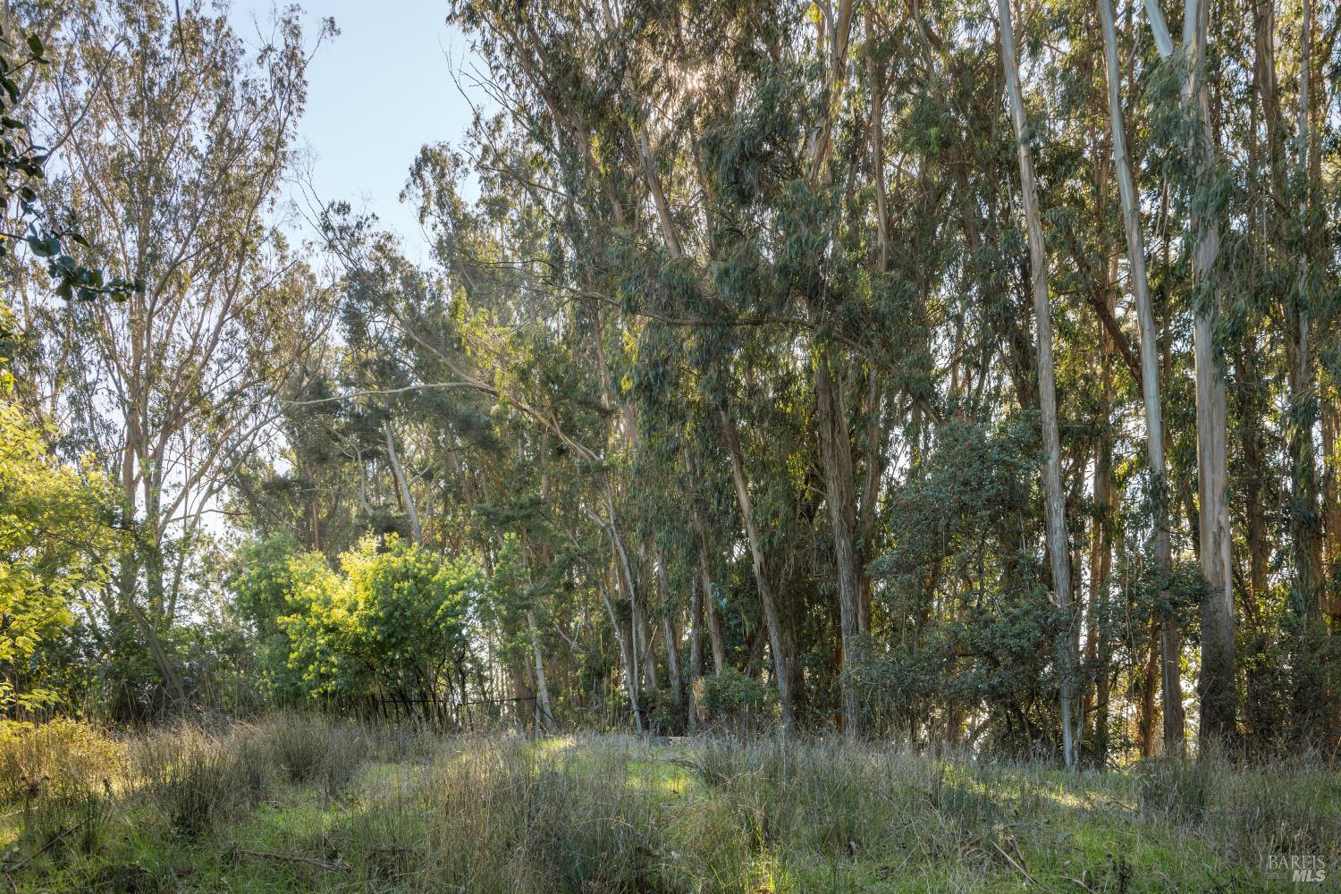 Detail Gallery Image 3 of 20 For 2800 Paradise Dr, Tiburon,  CA 94920 - – Beds | – Baths