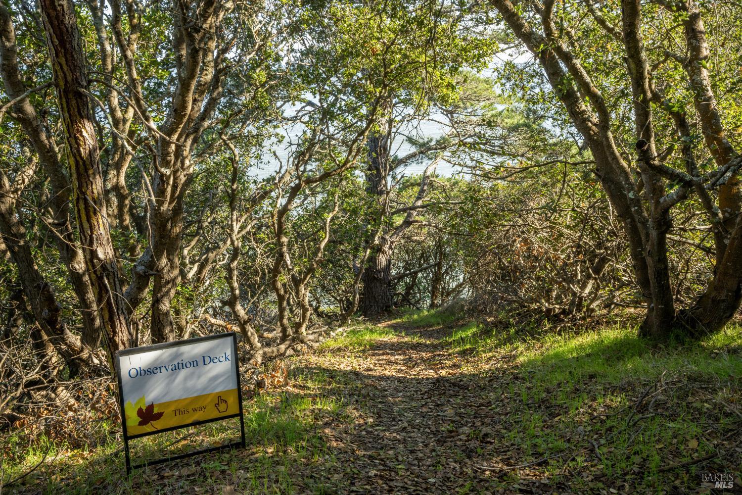 Detail Gallery Image 15 of 20 For 2800 Paradise Dr, Tiburon,  CA 94920 - – Beds | – Baths