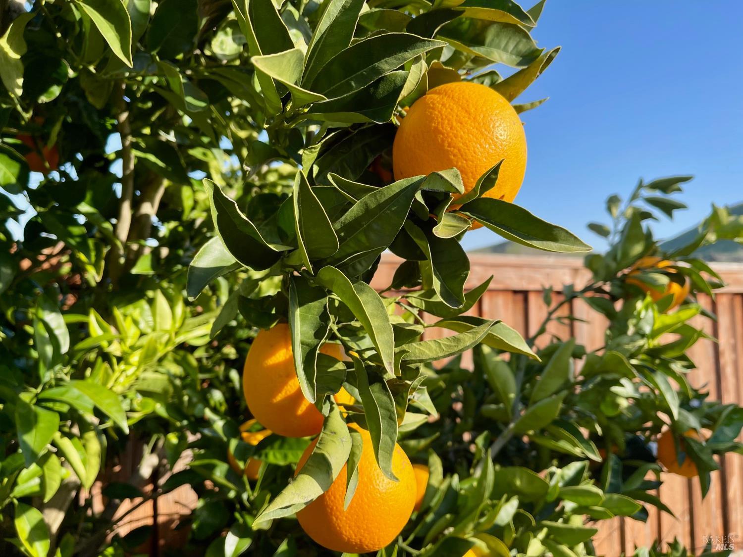 Detail Gallery Image 23 of 28 For 1844 Stockbridge Dr, Fairfield,  CA 94534 - 5 Beds | 4 Baths